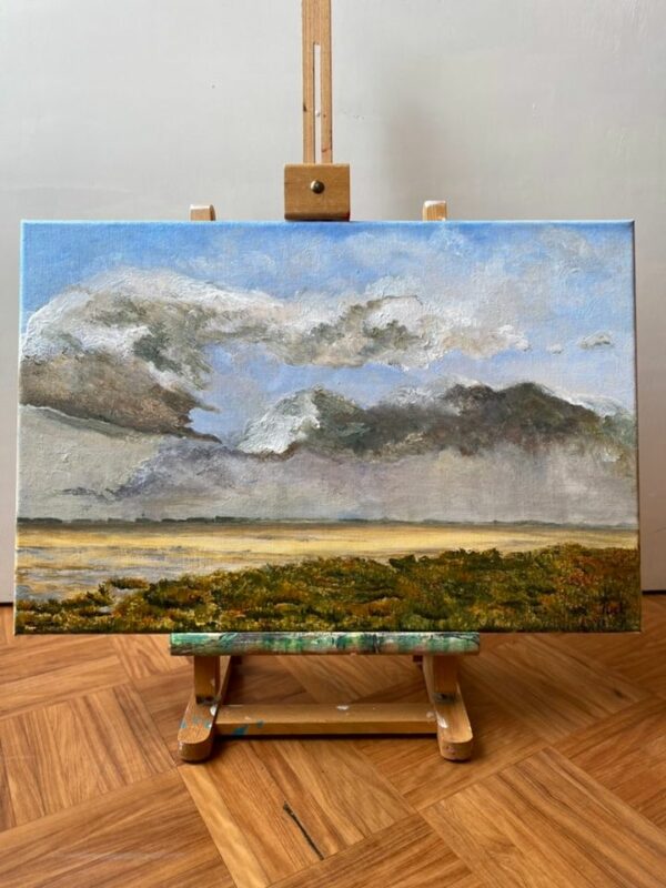 Schorren van Stalland